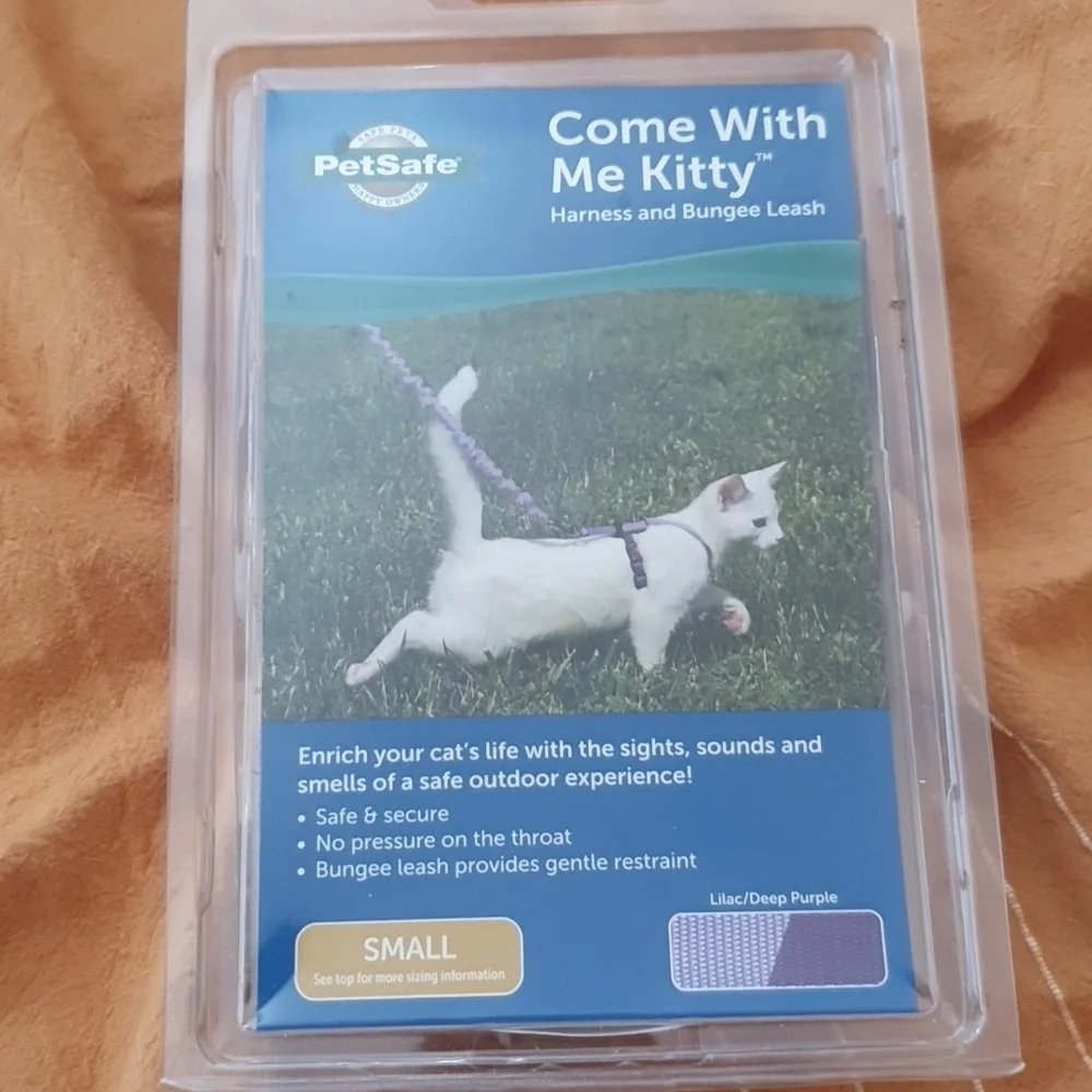 Kitty harness and bungee leash